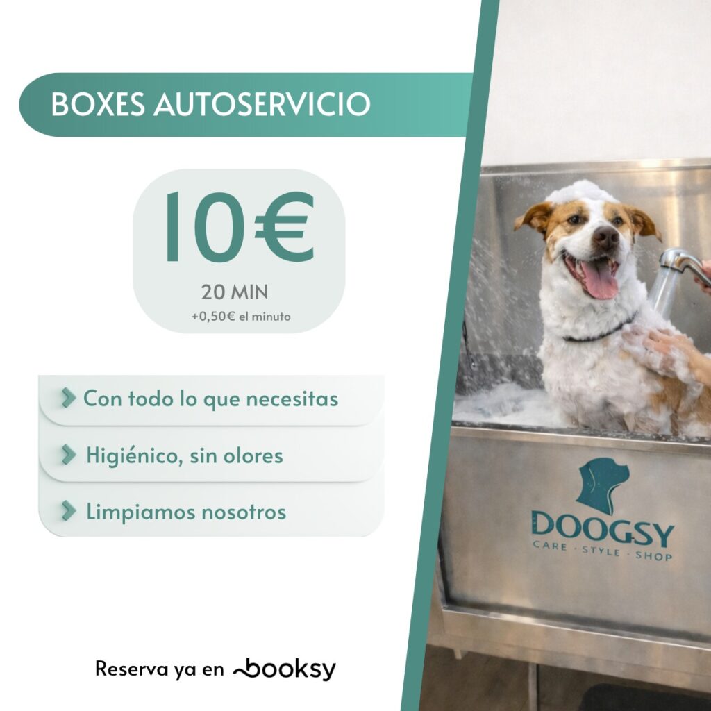 autolavado perros murcia